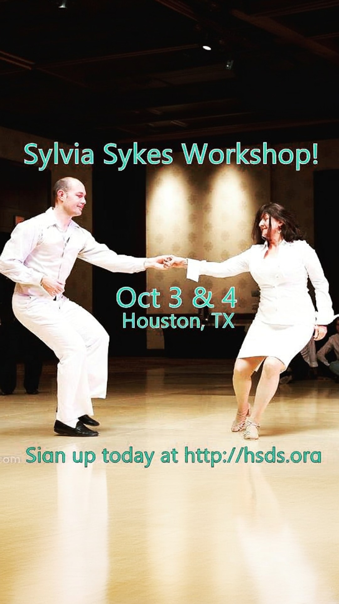 sylvia sykes workshop