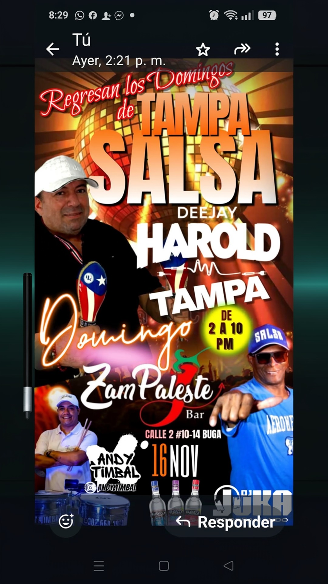 regresan los domingos de tampa salsa bar🪇